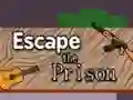 Joc Escape the Prison en línia