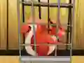 Joc Rescue The Red Squirrel From Cage en línia