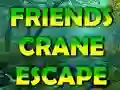 Joc Friends Crane Escape en línia