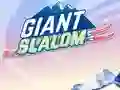Joc Giant Slalom en línia