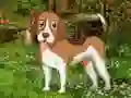 Joc Flower Garden Dog Escape en línia