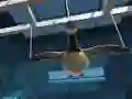 Joc Goose Museum en línia