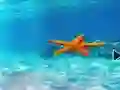 Joc Escape From Underwater Starfish en línia