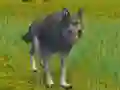 Joc The Wolf: Wild Animal Simulator en línia