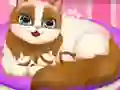 Joc Cute Kitty Pregnant en línia