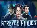 Joc Forever Hidden en línia
