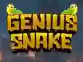 Joc Genius Snake en línia