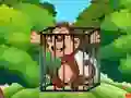 Joc Free the Captive Ape en línia