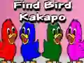 Joc Find Bird Kakapo en línia