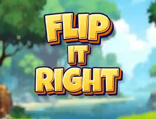 Joc Flip It Right en línia
