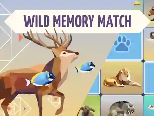 Joc Wild Memory Match en línia