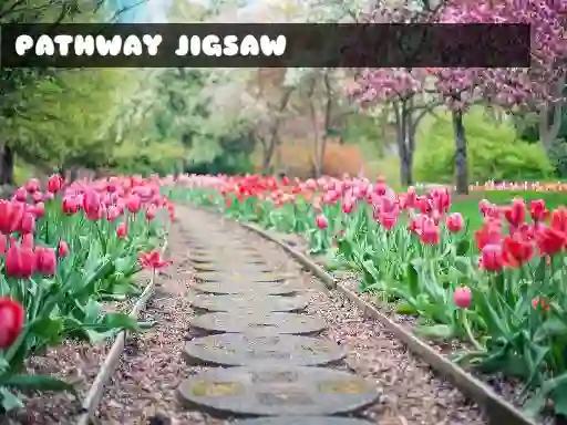 Joc Pathway Jigsaw en línia