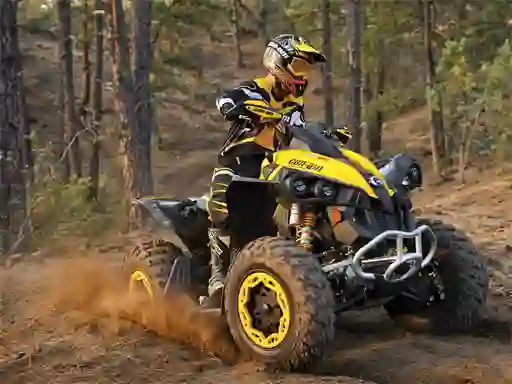 Joc ATV Offroad Puzzle en línia