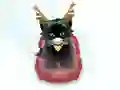 Joc Pet Sledding en línia