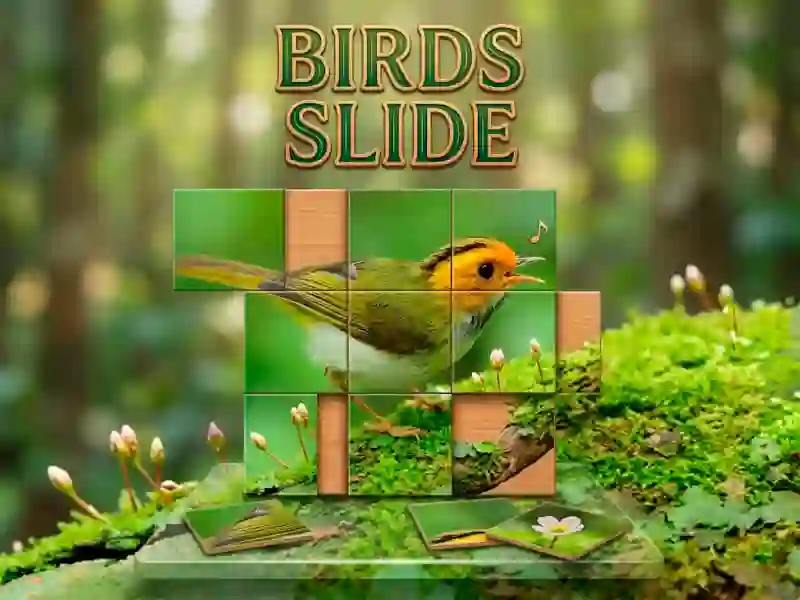 Joc Birds Slide en línia