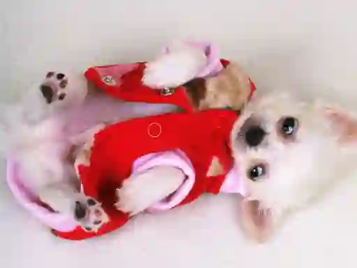 Joc Lovely Puppy Slide en línia