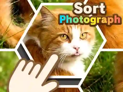 Joc Sort Photograph en línia