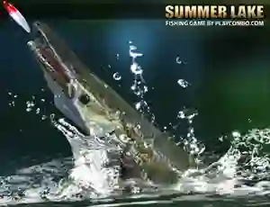 Joc Summer Lake en línia