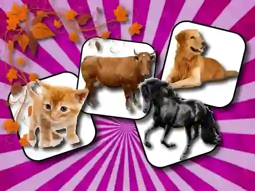 Joc Domestic Animal Memory Challenge en línia