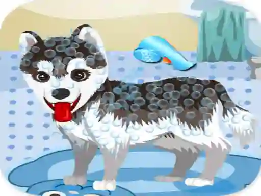 Joc My Cute Dog Bathing en línia