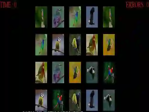 Joc Memorize the birds en línia
