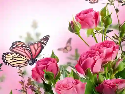 Joc Butterflies Puzzle en línia