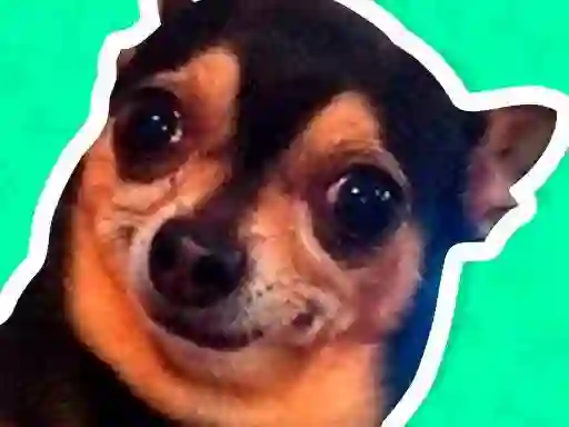 Joc What meme dog are you ? en línia