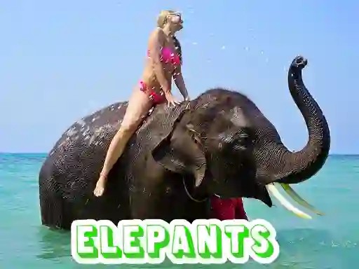 Joc Elephants Puzzle en línia