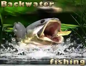 Joc Backwater Fishing en línia