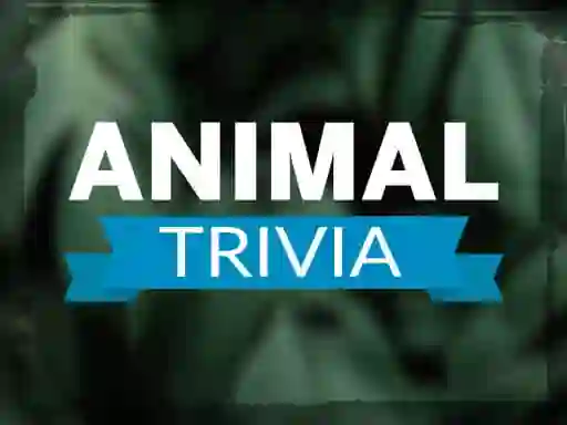 Joc Animal Trivia en línia