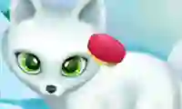 Joc Paws to Beauty Arctic Edition en línia