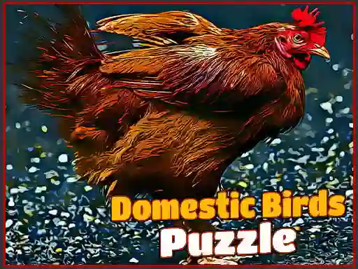 Joc Domestic Birds Puzzle en línia