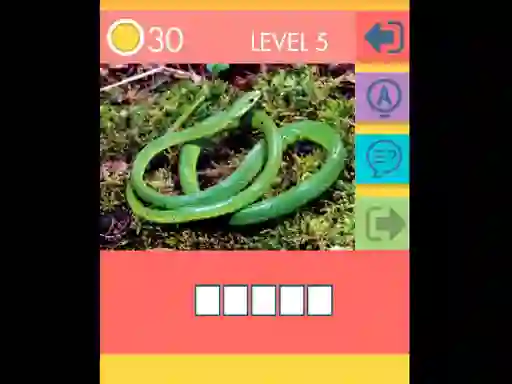 Joc 15 Picture Quiz en línia