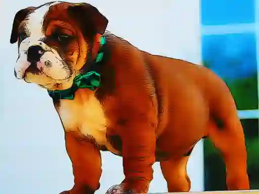Joc Bulldog Puppy Puzzle en línia