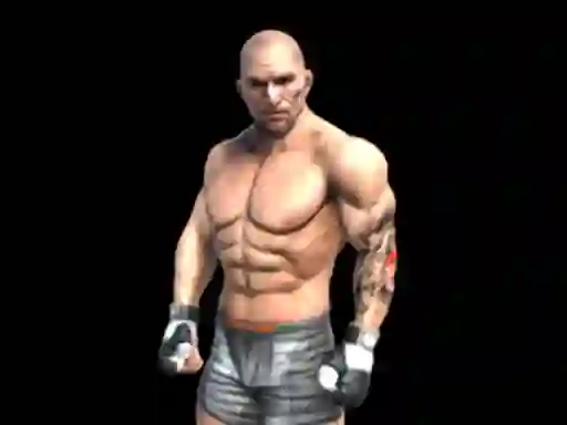 Joc Fight Arena Online en línia