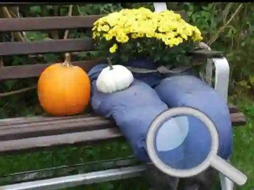 Joc Autumn Garden Find 100 butterflies en línia