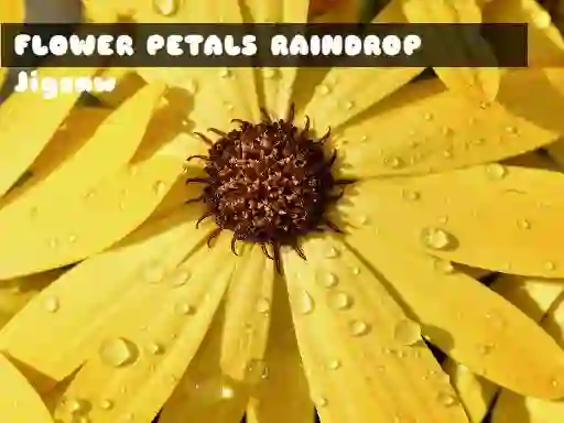 Joc Flower Petals Raindrop Jigsaw en línia