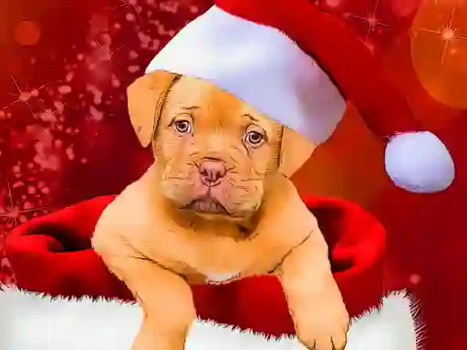 Joc Christmas Dogs Styles en línia