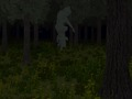 Joc Bosc atrapat  en línia