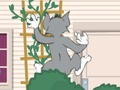 Joc Tom und Jerry: Wasserbomben Wahnsinn en línia