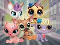Joc Little Pet Shop: amagar i buscar  en línia