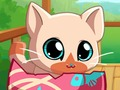 Joc El meu gat de mascotes de butxaca Kitty en línia