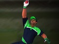 Joc Cricket: Fielder's Challenge  en línia