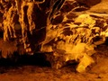 Joc Coves del tresor  en línia