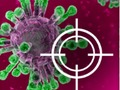 Joc Destrueix el virus  en línia