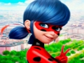 Joc Col·lecció de trencaclosques LadyBug  en línia