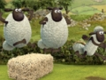 Joc Atletisme estranger Shaun the Sheep  en línia