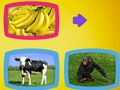 Joc Què mengen els animals?  en línia