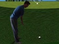 Joc Flash Golf 3D  en línia