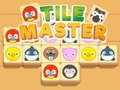 Joc Match Master Match en línia